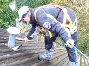 Zugänge und Öffnungen, durch die ein Marder eindringen kann, werden fachgerecht versiegelt. Zugänge und Öffnungen, durch die ein Marder eindringen kann, werden fachgerecht versiegelt.