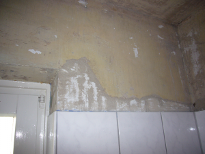 Nach Entfernung der Farbe und Schimmelbekämpfung kann die Wand wieder mit einer diffusionsoffenen (atmenden) Farbe gestrichen werden. Nach Entfernung der Farbe und Schimmelbekämpfung kann die Wand wieder mit einer diffusionsoffenen (atmenden) Farbe gestrichen werden.