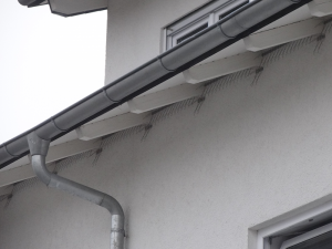 Schwalbenvergrämung mittels Schwalbenspikes. Schwalbenvergrämung mittels Schwalbenspikes.