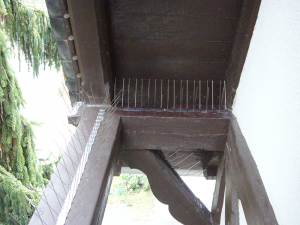 Nach der Reinigung, Farbgebung und Vergrämung mit Spikes. Nach der Reinigung, Farbgebung und Vergrämung mit Spikes.